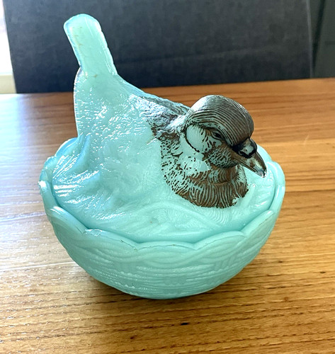Rare sucrier pigeon - sucrier,