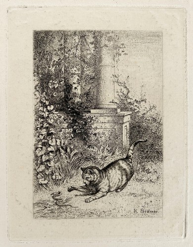 Karl bodmer chat - chat, jouant
