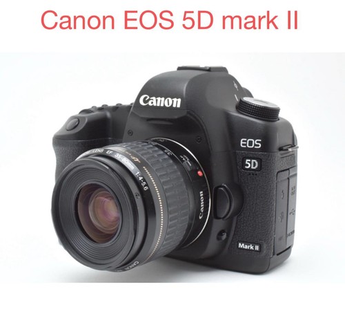 Canon eos mark standard - canon,