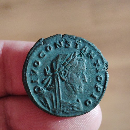 Follis constance chlore - constance,