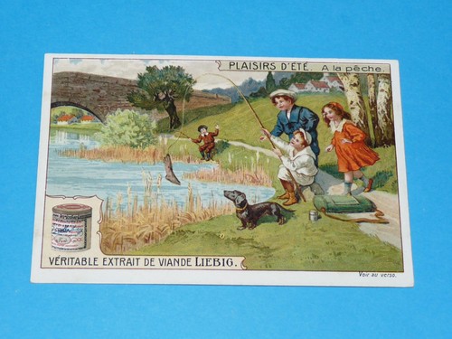 Chromo 1910 liebig serie 990 - chromo,