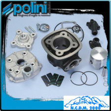 Groupe Thermique Polini Fonte