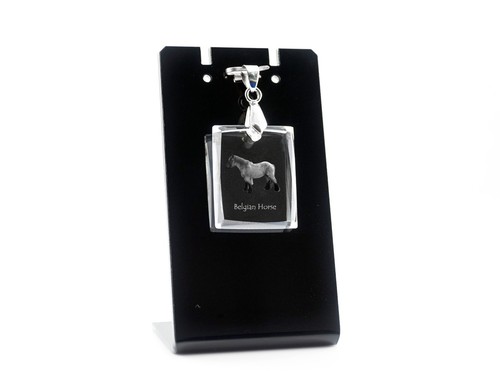 Trait belge collier - belge,,