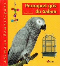 PERROQUET GRIS DU GABON / GREG