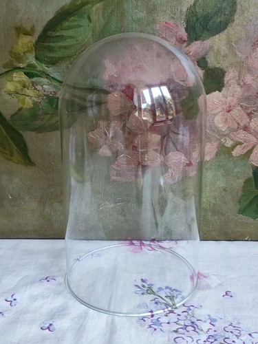 Ancienne cloche globe - ancienne,
