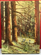 Huile sur toile "Sous bois"