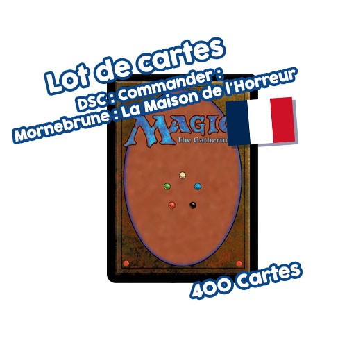 Lot 400 cartes magic - lot, the