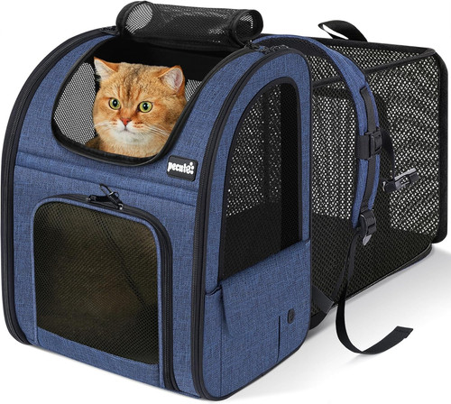 Sac dos porte chat - à,