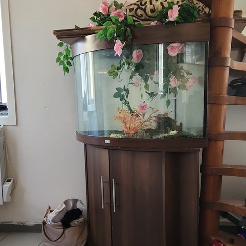 Aquarium verre avec - verre,