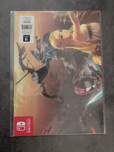 Poster bonus hyrule warriors - hyrule,
