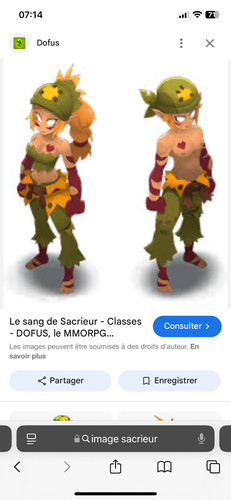 Compte dofus sacrieur ecaflip - compte,