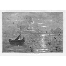 NETHERLANDS Moonrise on the Texel - Antique Print 1871