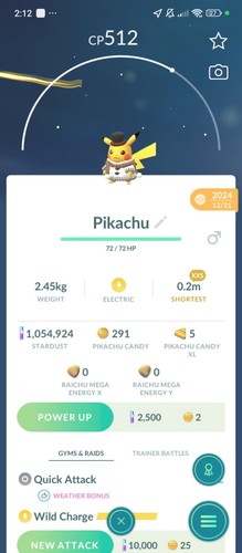 Pikachu winter carnival - pikachu,