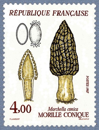 Timbre 1987 nature de - de,