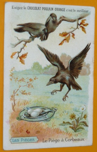 Chromo 1920 1939 chocolat - 1920-1939,