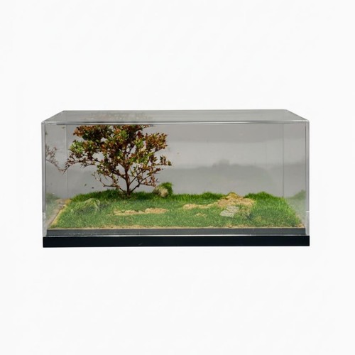 Vitrine exposition - vitrine, d'exposition