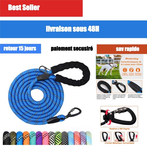 Longe pour chien nylon bleu - pour,
