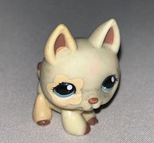 Hasbro lps original little - original,
