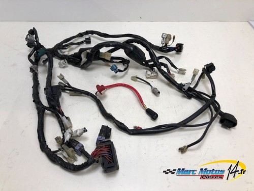 Faisceau yamaha mt03 - mt03, 660