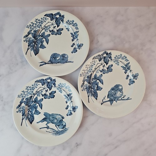 Assiettes plates oiseaux - assiettes,
