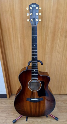 Guitare acoustique électrique
