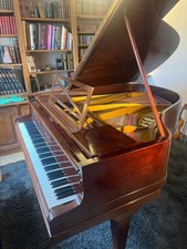 magnifique piano a queue