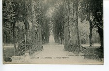 Baillon - The Castle - Entrance Avenue
