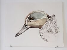 Winter Teal ORIGINAL WATERCOLOR Bird Portrait Duck Painting