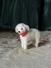 Chien Pour Mignonette Petite