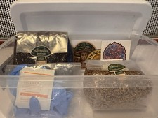 Small Monotub Mushroom Grow