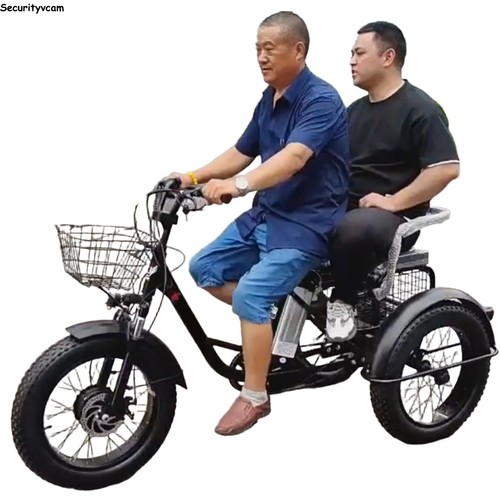 Tricycle électrique 20 - tricycle,