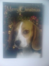 CARTE DE VOEUX BEAGLE MERRY CHRISTMAS JOYEUX NOEL NEUVE  (CHIEN CHIOT)