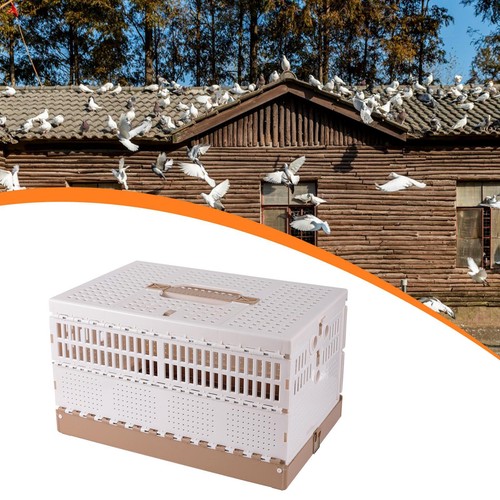 Cage pigeons portable - cage,