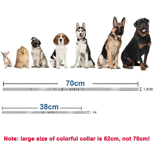 Collier chien chat réglable - chien,