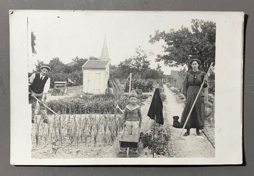 Carte photo jardinier potager - carte,