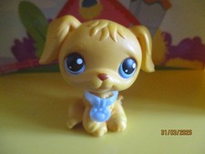 Petshop Chien Golden Retriever