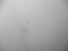 Capot PEUGEOT 206 PHASE 1