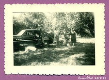 PHOTOGRAPHIE HALTE PIQUE-NIQUE