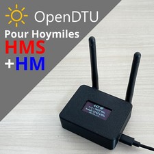 Twin OpenDTU passerelle pour