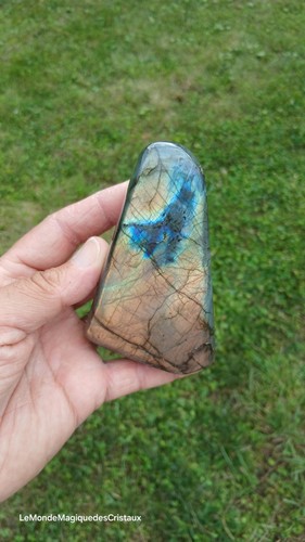 Labradorite forme libre - labradorite,