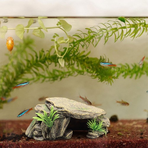 Décoration aquarium de - d'aquarium,