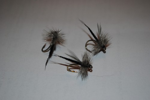 Flies extended body - flies,