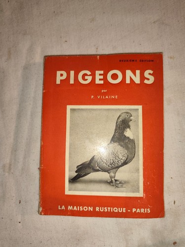 Pigeons rapport de - rapport, et