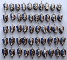 Lot 50 insignes militaire réduction émaillé WWII France badge enamel military