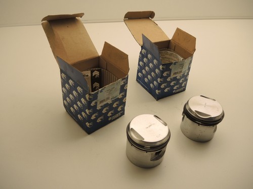 Pistons federal mogul triumph - federal,
