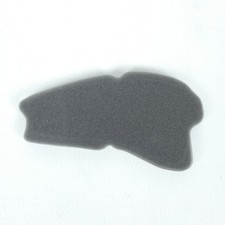 Mousse de Filtre à air P2R