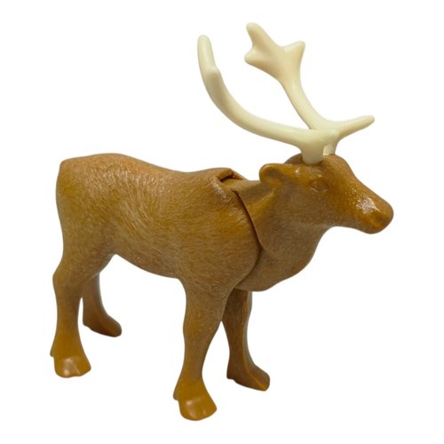 Sympa renne caribou - sympa,