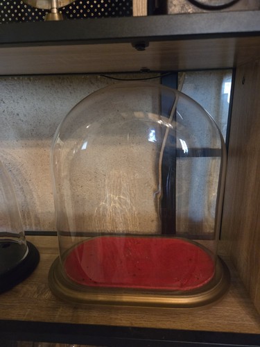 Cloche decoree globe mariee - cloche,