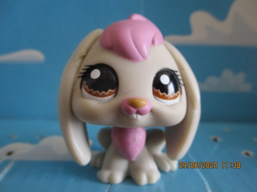 Petshop lapin belier 1190 - lapin,