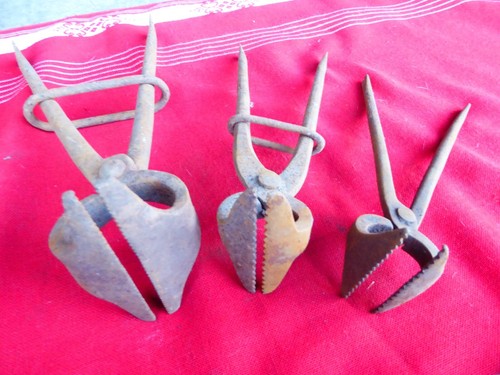 Lot pince outil - pince, ancien